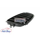 BMW E70,E71  X5, X6  HÜTŐRÁCS VESE LAKK FEKETE DUPLA PÁLCÁS