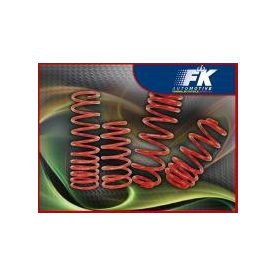 BMW E90,E91,E92,E93 ÜLTETŐ RUGÓ SZETT 25/15 MM