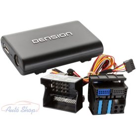 DENSION GATEWAY LITE 3 (BMW, 40 PIN)